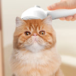 Pet Comb Self Cleaning Pets Hair Remover Brush