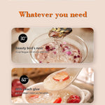 110V220V Smart Electric Stew Cooker Personal Portable Electric Stew Pot